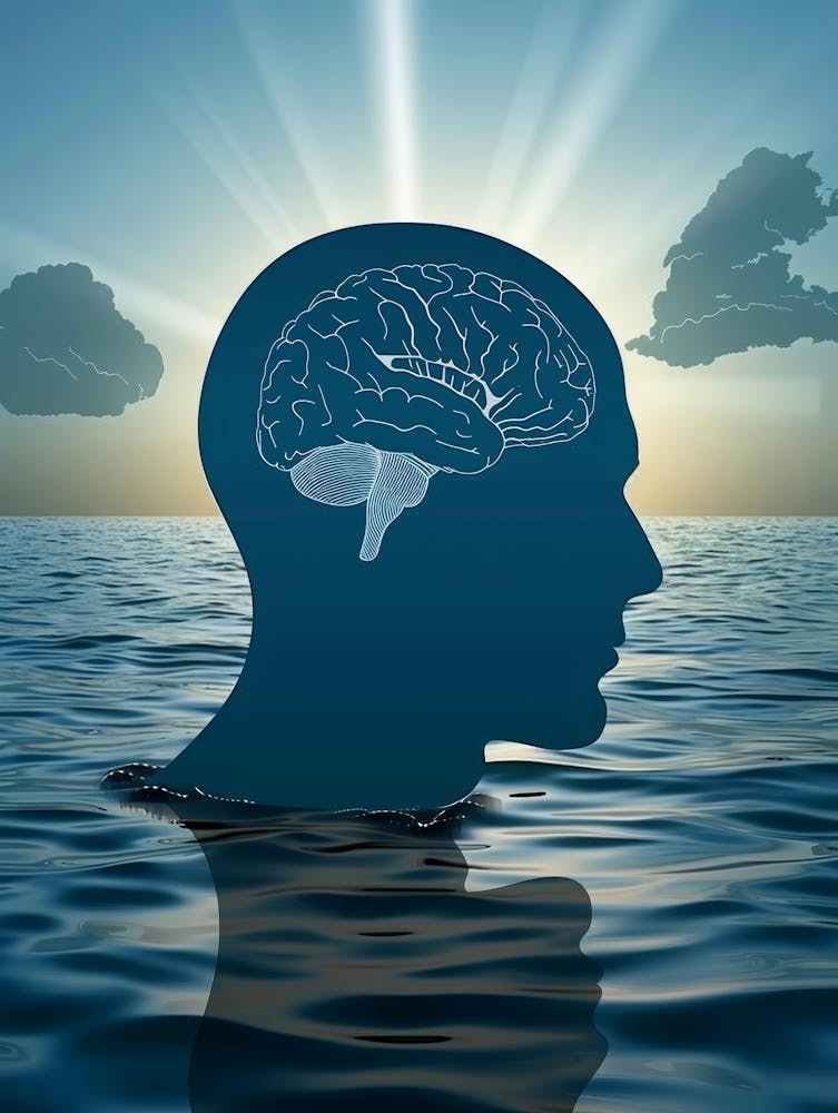 Silhouette Of A Human Brain In The Water