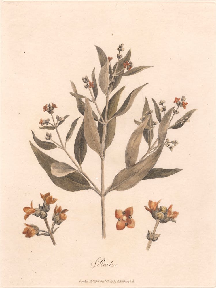 Rack (1789), James Heath