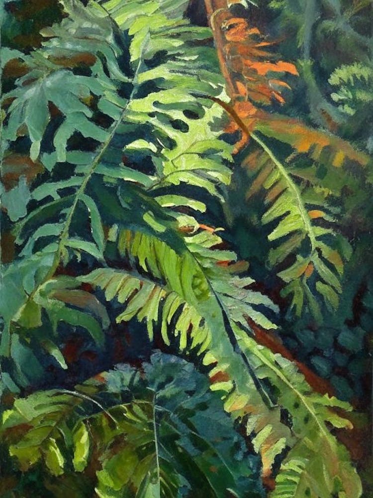 Hardy Fern Cézanne Style