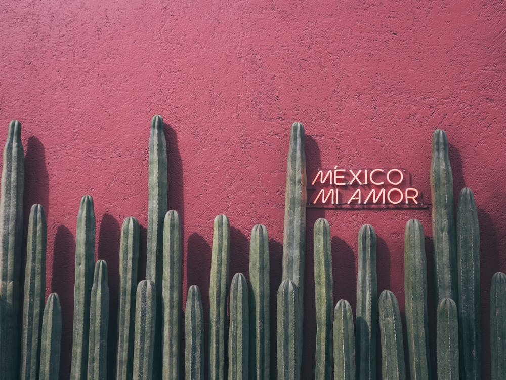 Mexico Mi Amor 2