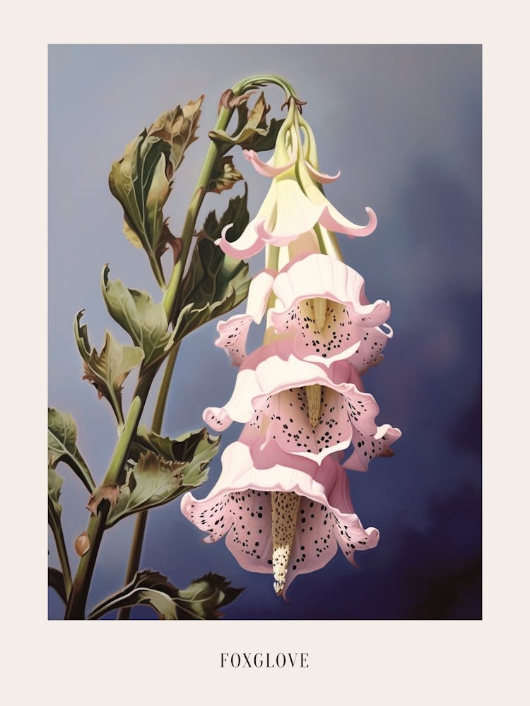 Floral Illustration Foxglove 2 Poster