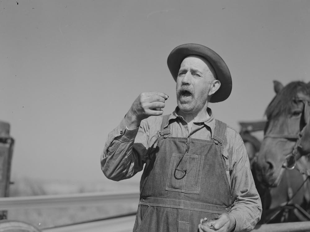 Cut Over Farmer Taking A Pinch Of Snuff Near Littlefork, Minnesota By Russell Lee