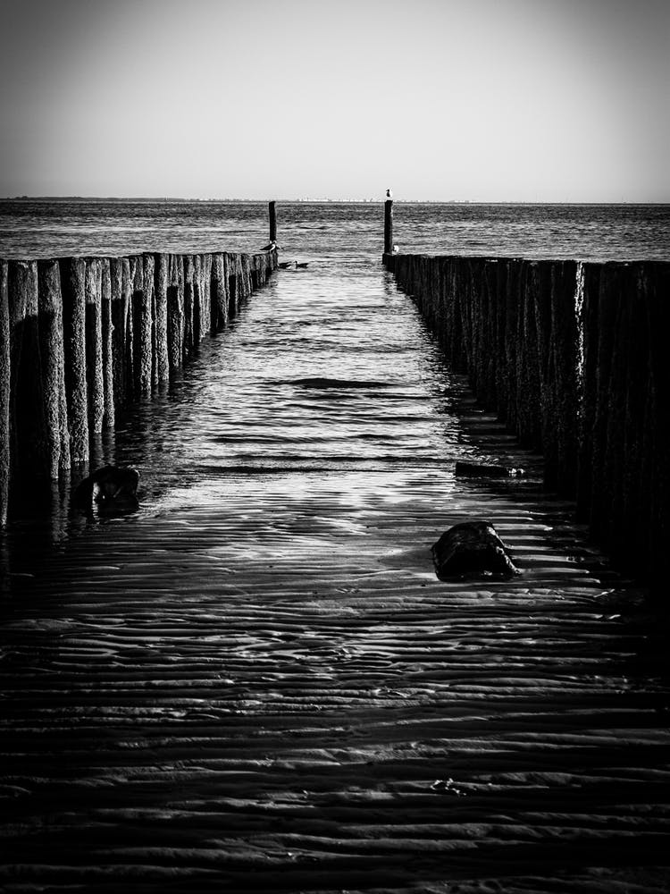 Pile Heads At Beach of The North Sea // The Netherlands // Travel photography