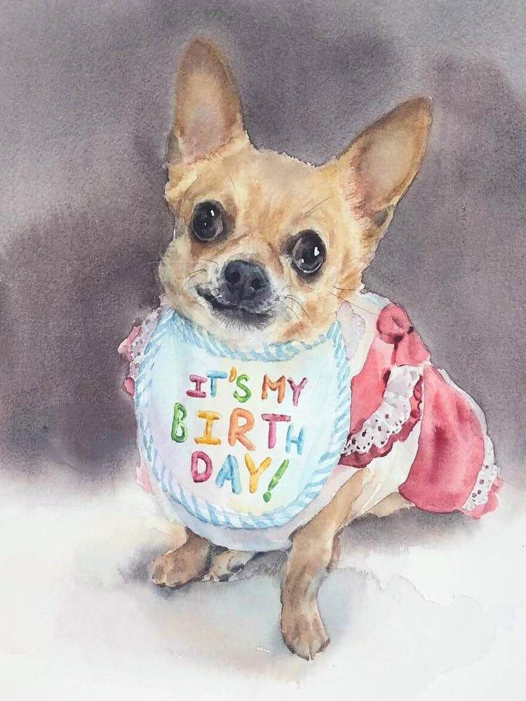 It'S My Birthday Day