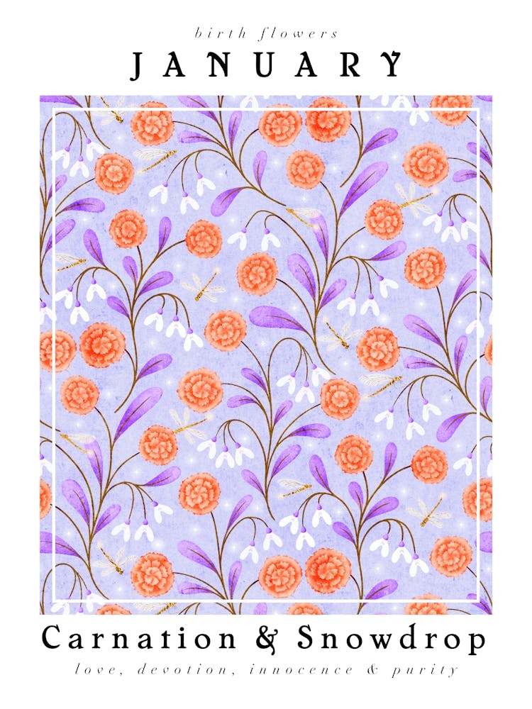 January Brith Flower Carnations & Snowdrop