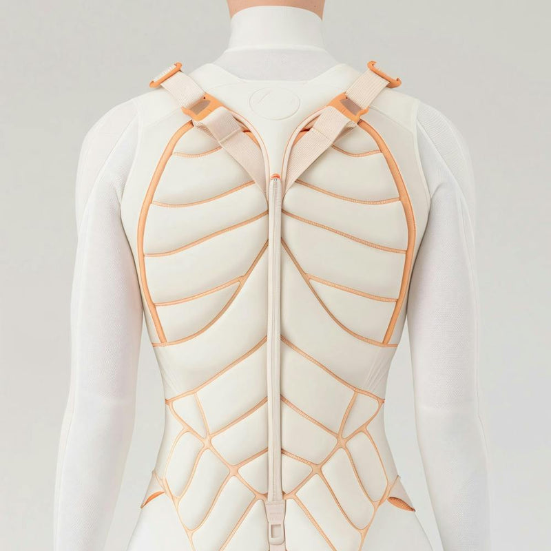 Back View Of A Mannequin
