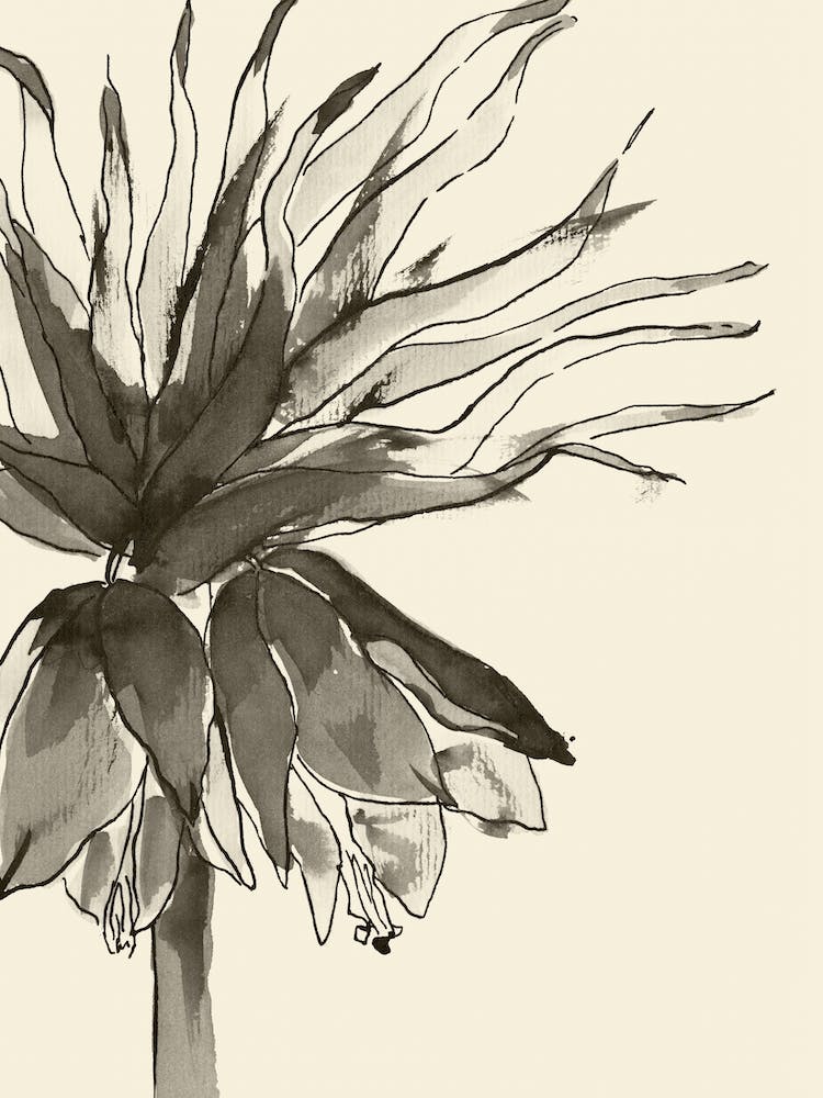 Ink flower 'Flori I', Aga Szafranska