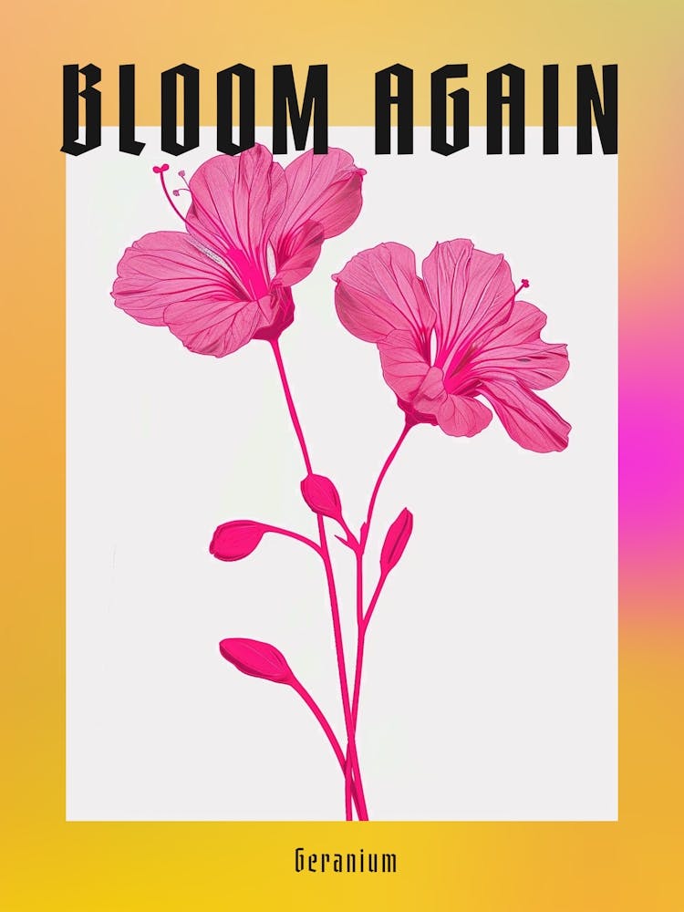 Hot Pink Geranium 2 Poster