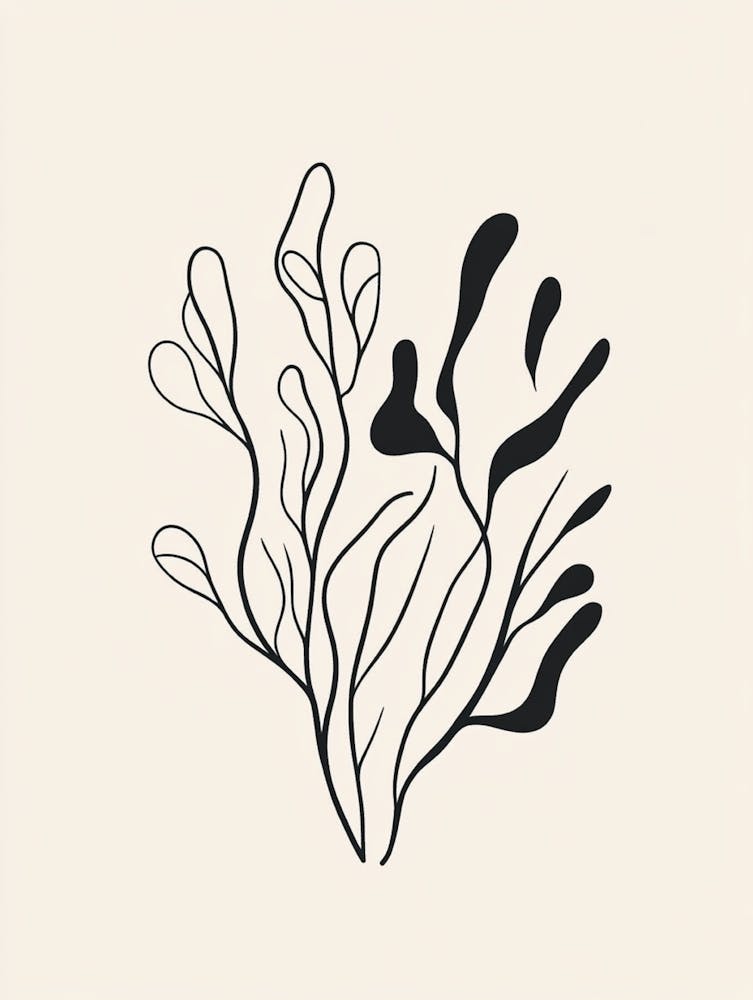 Seaweed