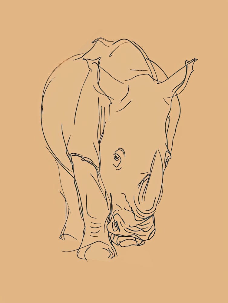 Rhino - Boho, Line Art 3