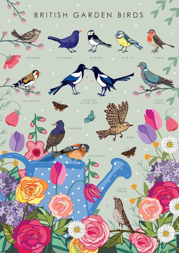 British Garden Birds