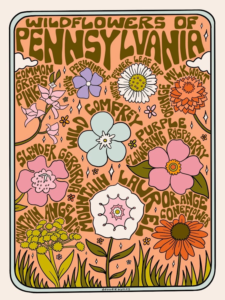 Pennsylvania Wildflowers