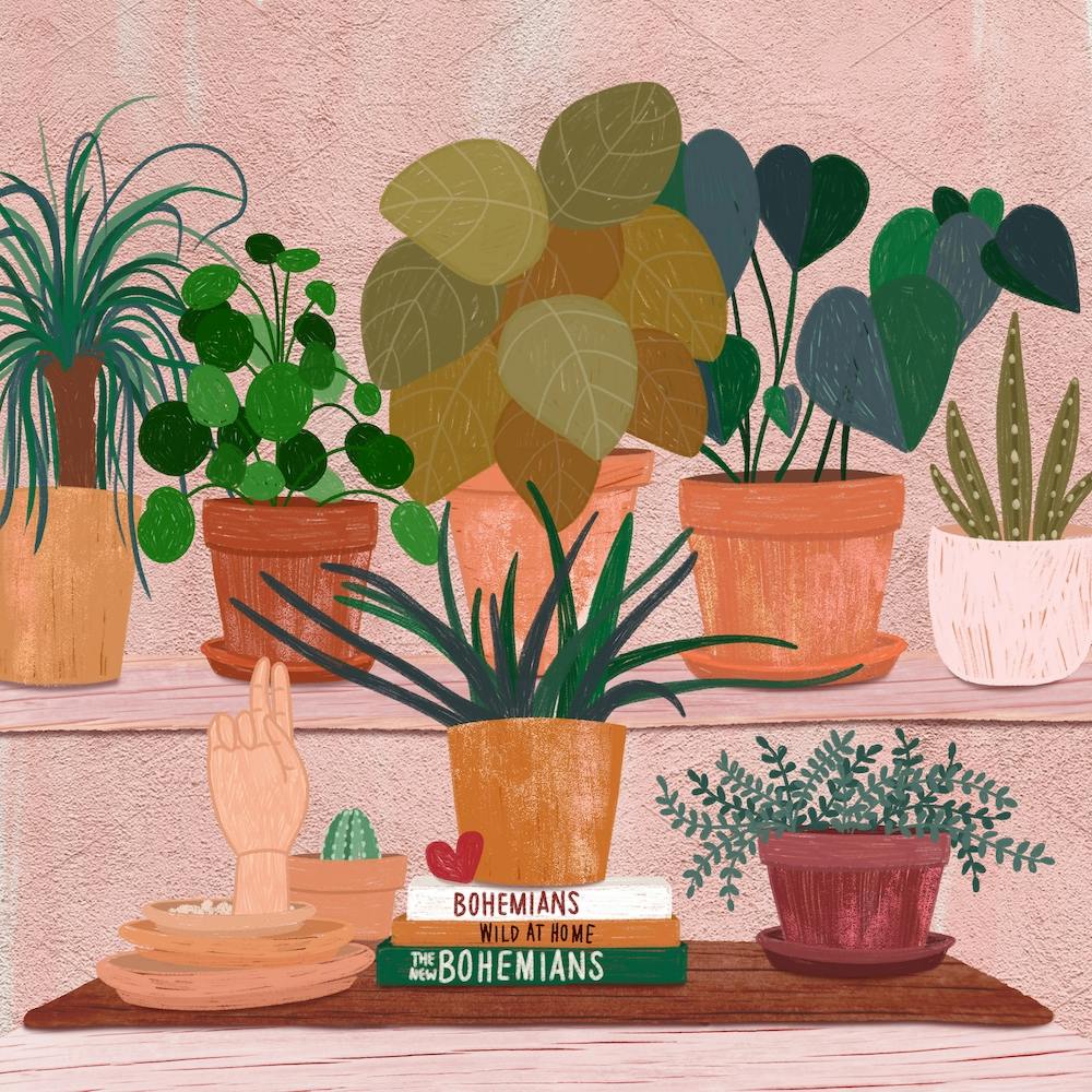 Boho Plantlets Square