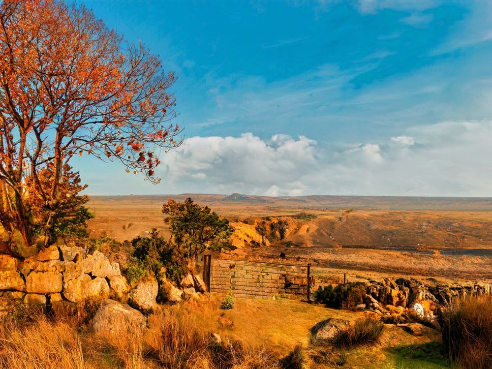 Gate At Ditsworthy Farm