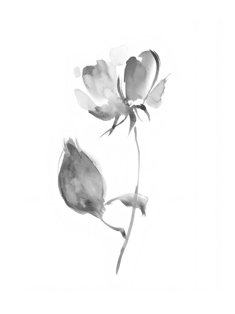 Black And White Flower 8