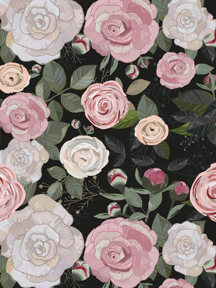 Peony And Rose Black