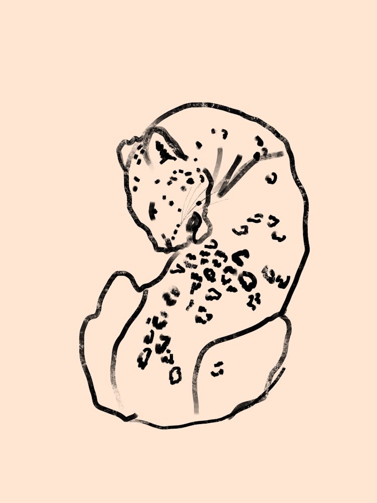 Leopard Drawing
