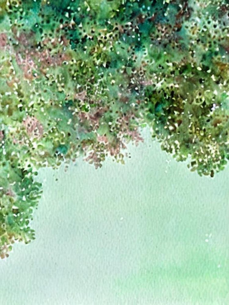 Acropora Millepora Vi Storybook Watercolour