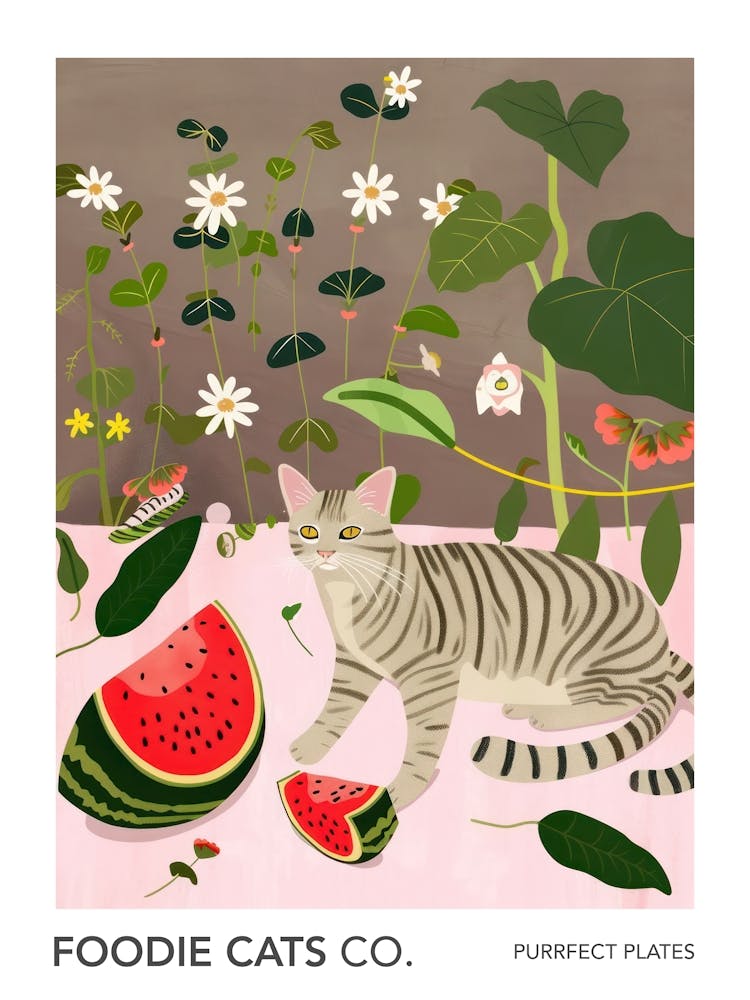 Foodie Cats Co Cat And Watermelon 1