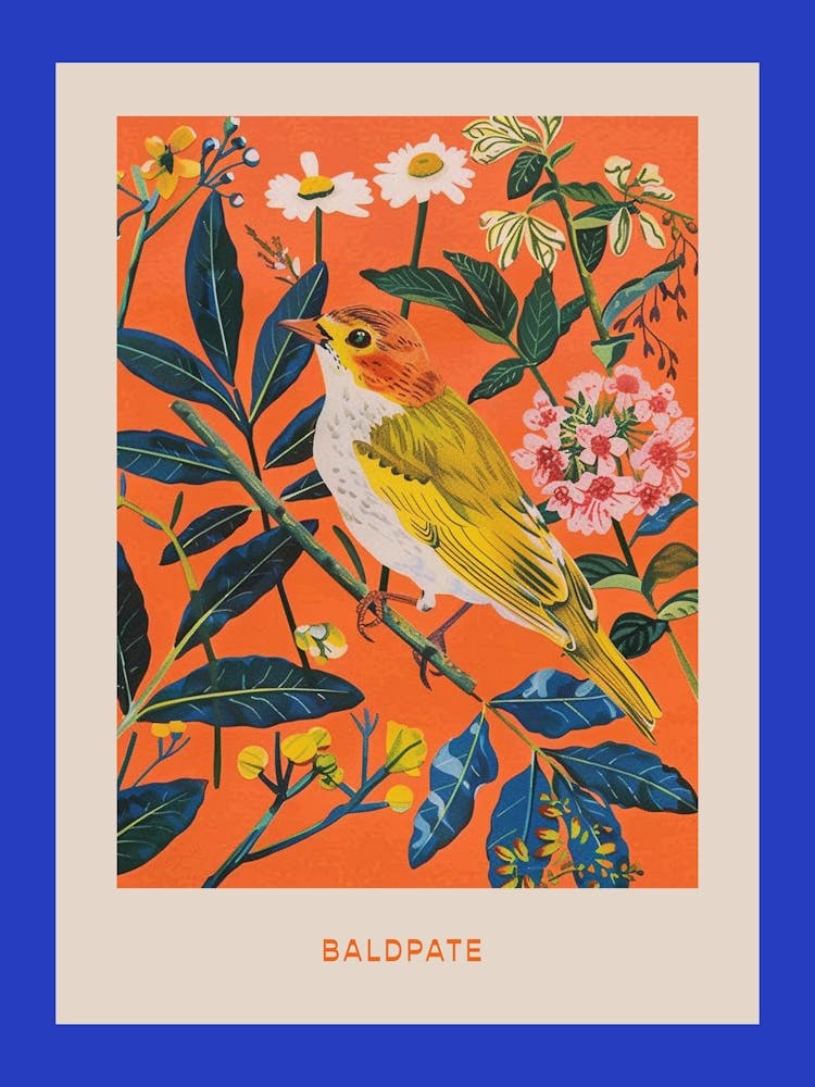 Spring Birds Poster Baldpate 2