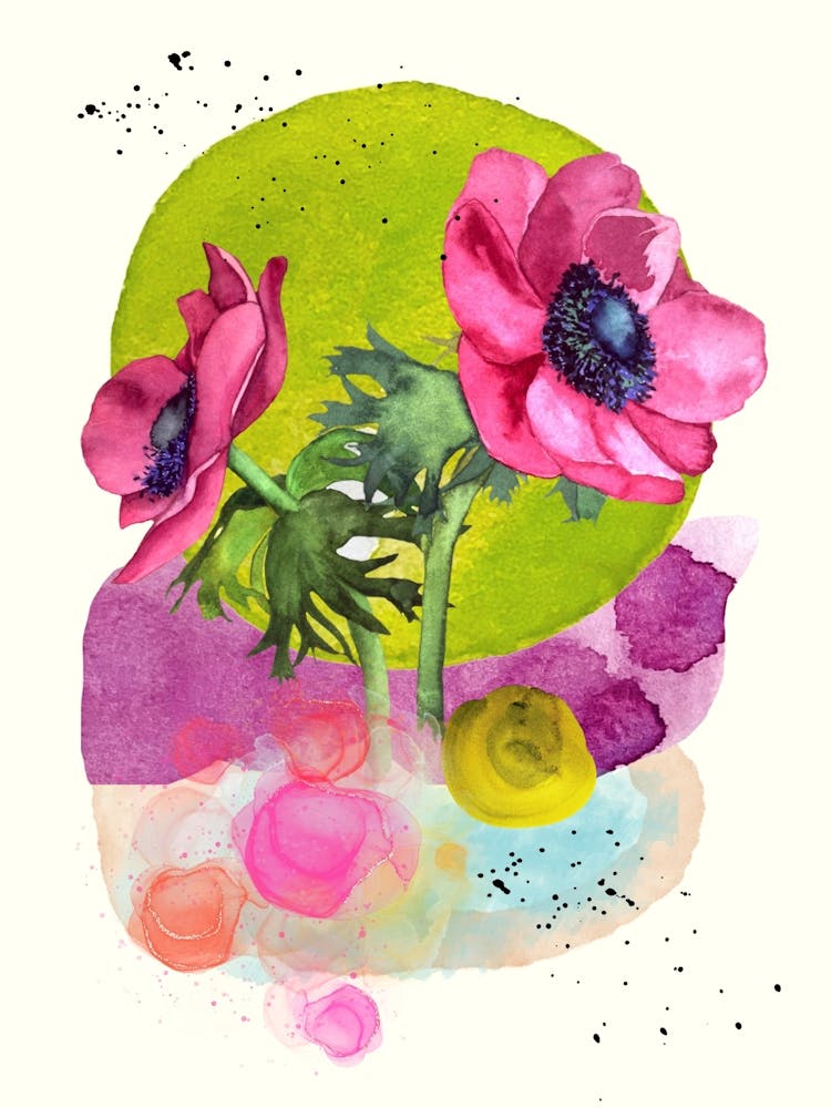 Burgundy anemones watercolor.