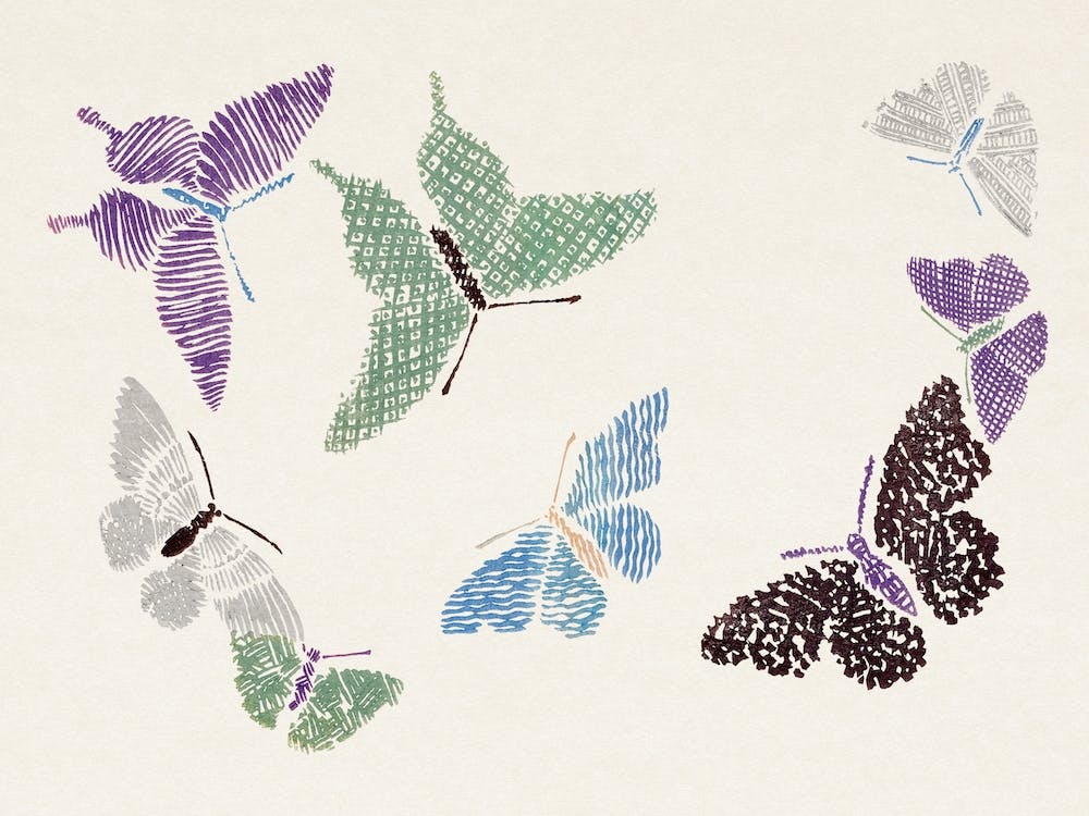 Vintage Butterfly, Kamisaka Sekka