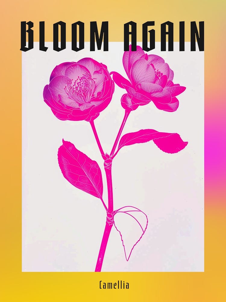 Hot Pink Camellia 1 Poster