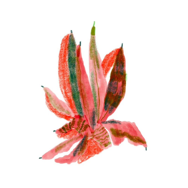Flower Square