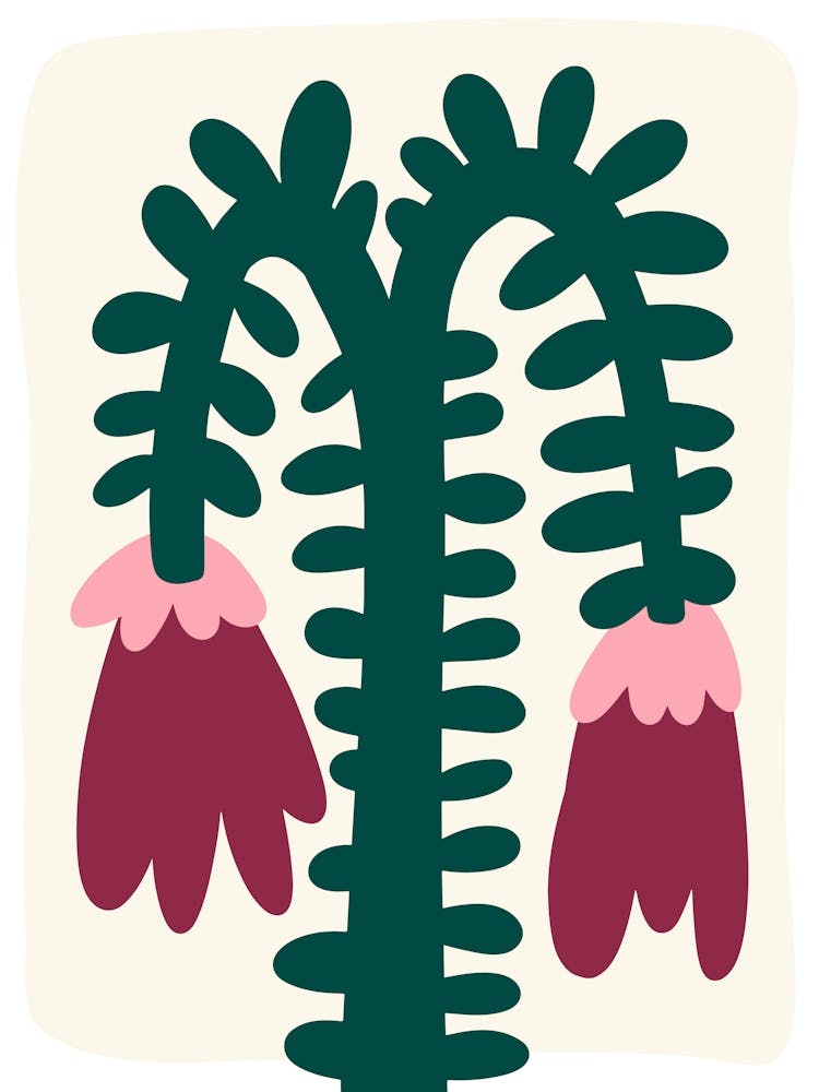 Floral Cactus Organic Flowers Naïf