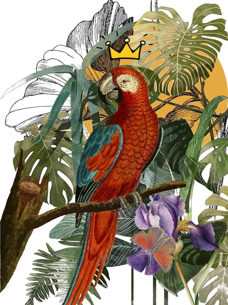 Parrot