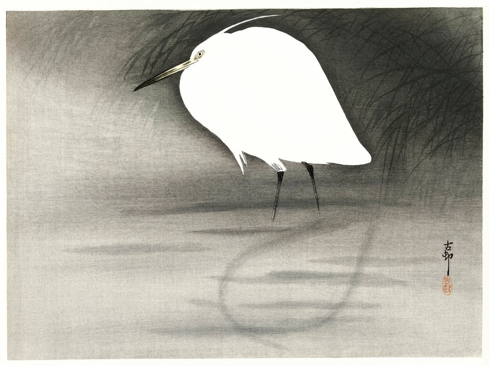 Reiher (1900 1930), Ohara Koson