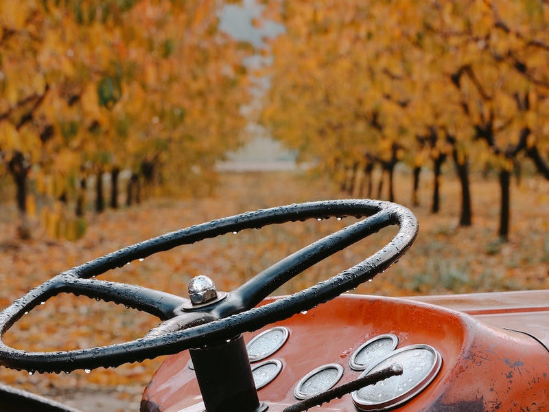 Tractor In Orchard
