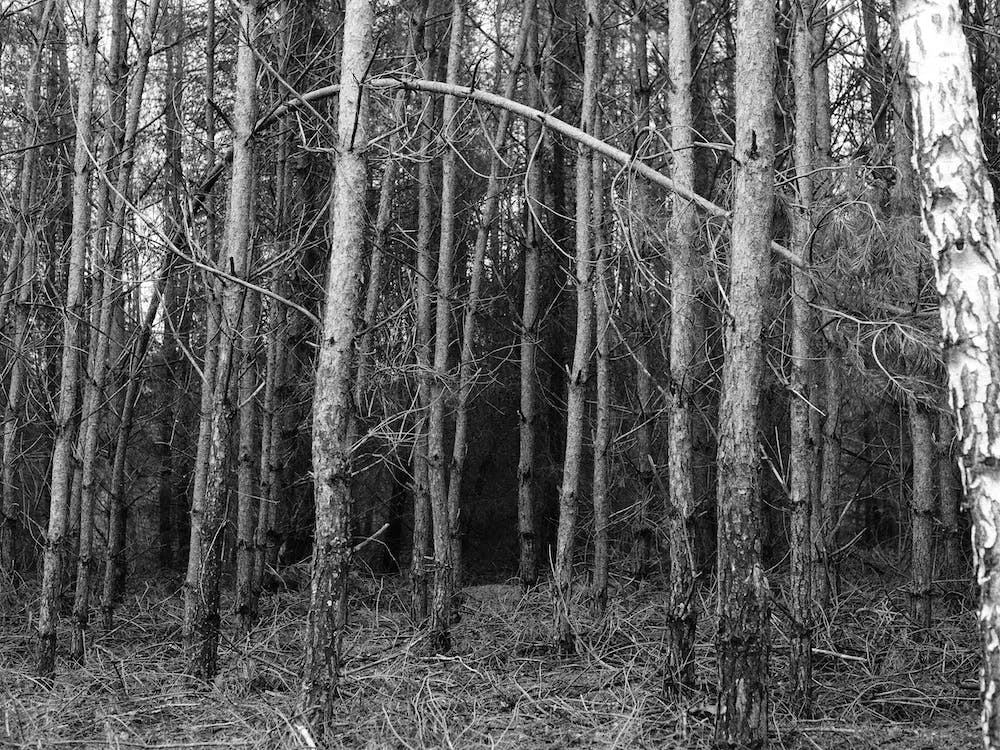 It Feels Like Being 02