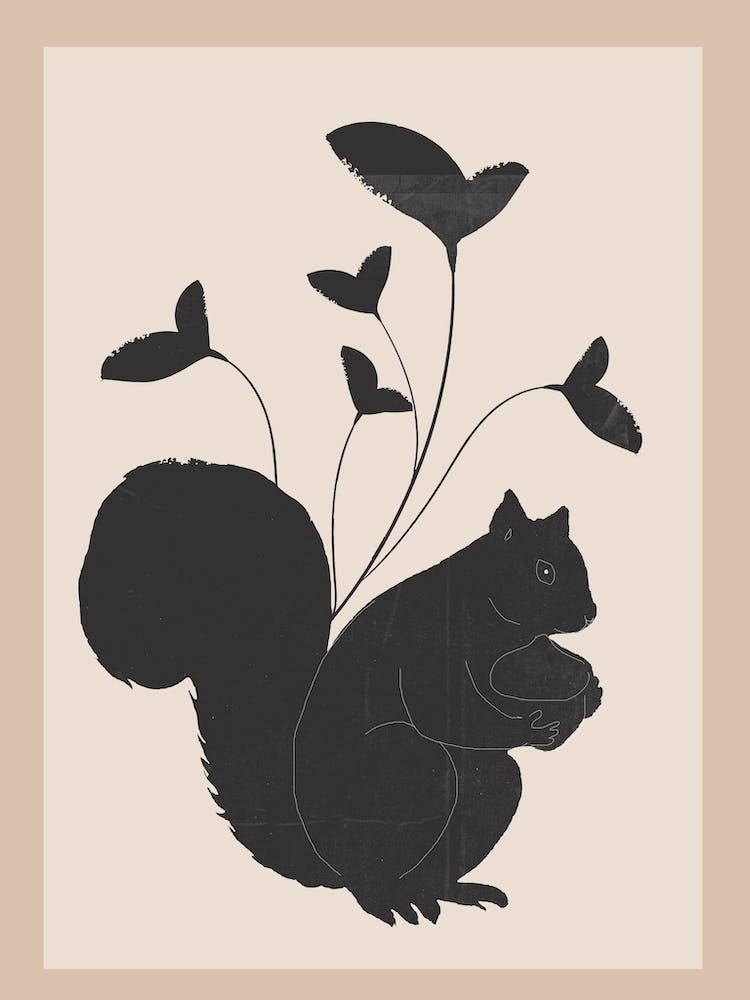 The Abstract Black Squirrel