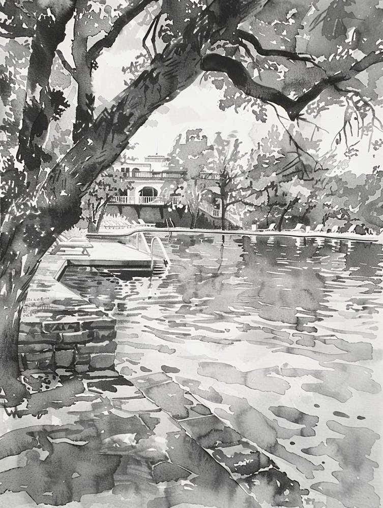Barton Springs Pool Austin Texas Black And White Watercolour 1