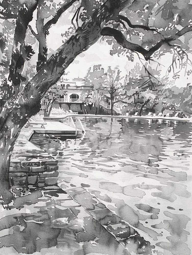 Barton Springs Pool Austin Texas Black And White Watercolour 1
