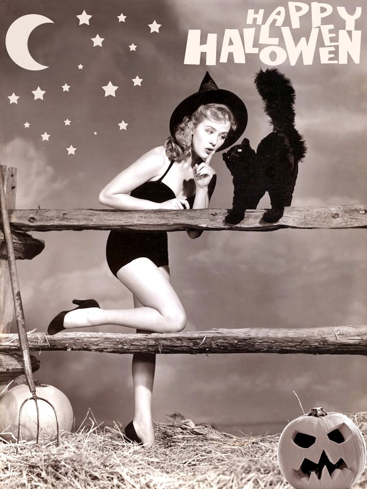 Pin Up Witch Is Sharing Her Secrets With Black Cat, Under The Moon