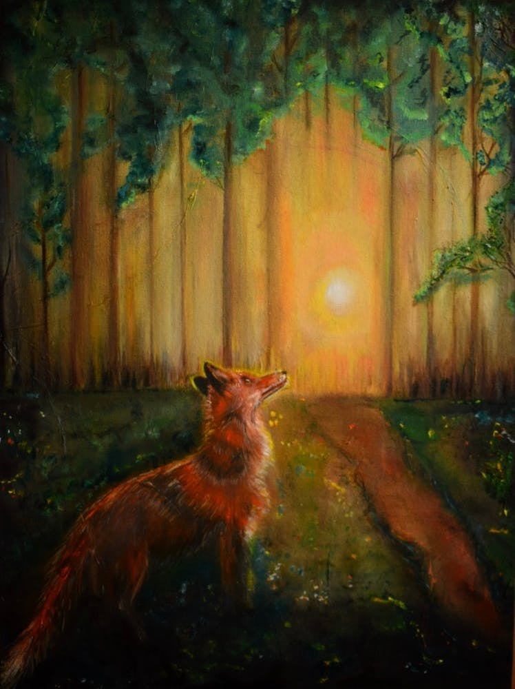 Fuchs bei Sonnenuntergang