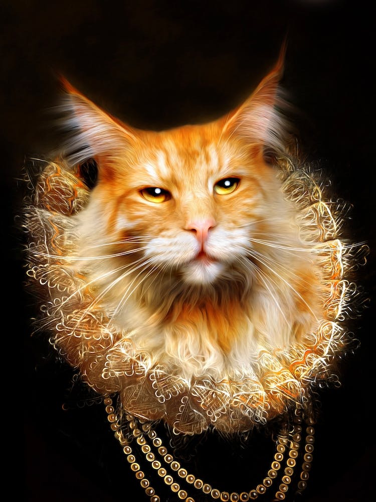 Red Arrow The Cat Pet Portraits