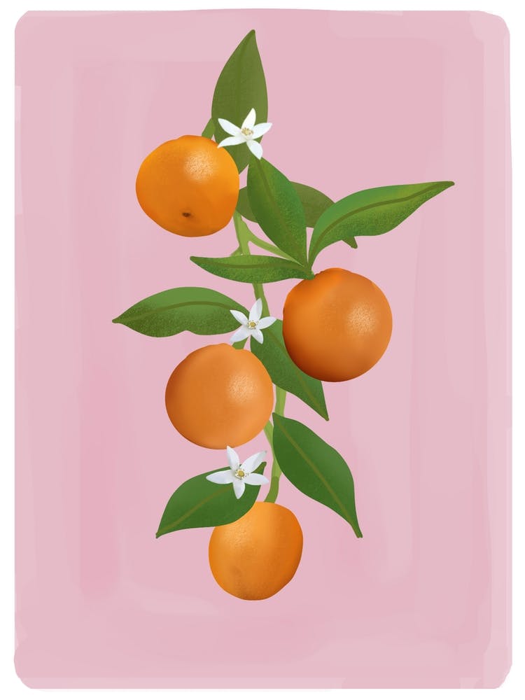 Oranges