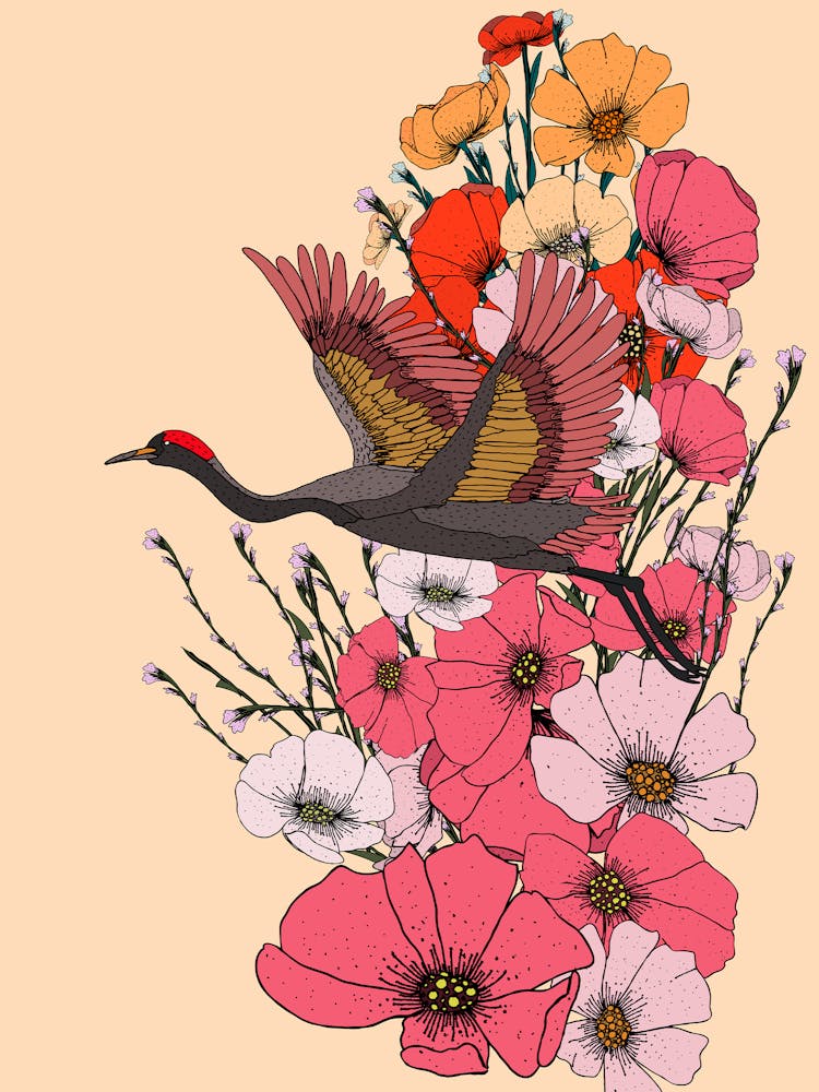 Crane Flying Over Flowers