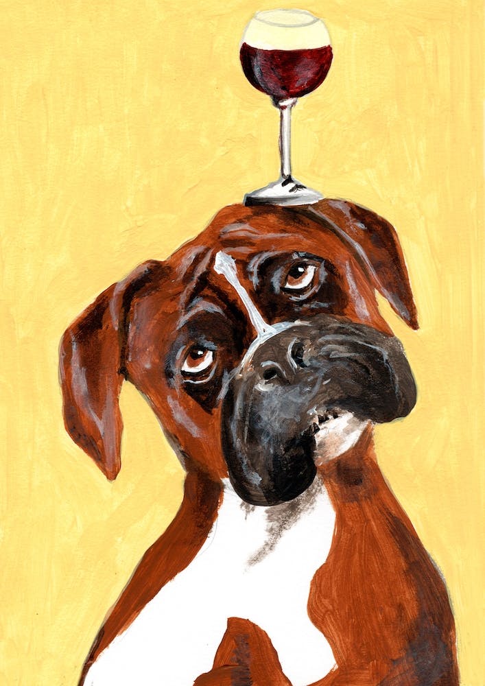 Boxer With Wineglass Yellow