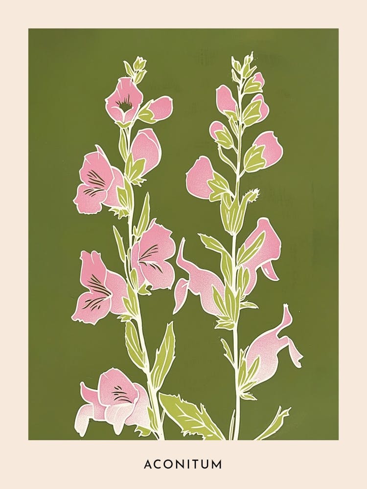 Pink & Green Aconitum 2 Flower Poster