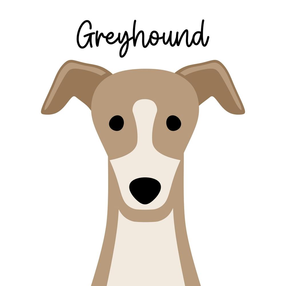 Windhund
