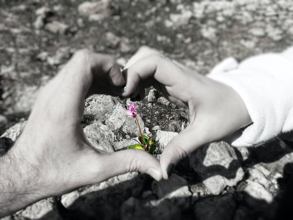 Heart Shape With Hands