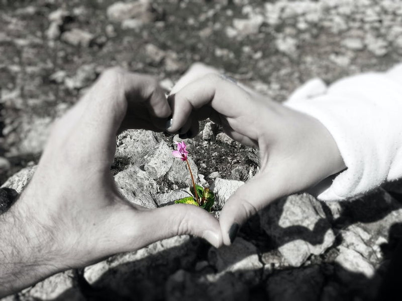 Heart Shape With Hands