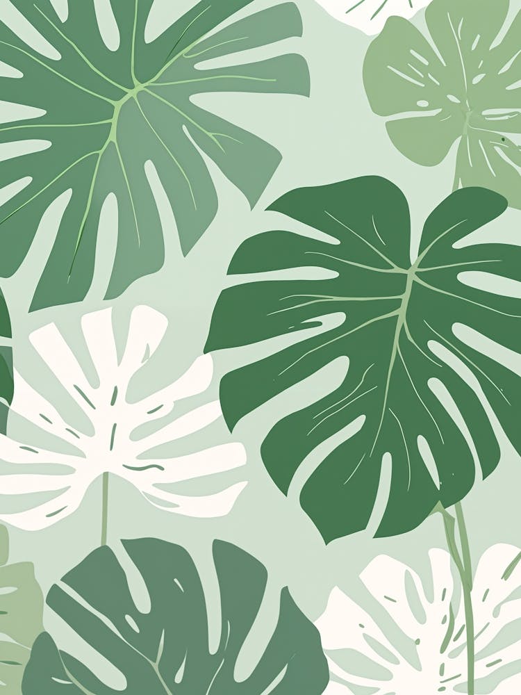 Green Monstera Leaves