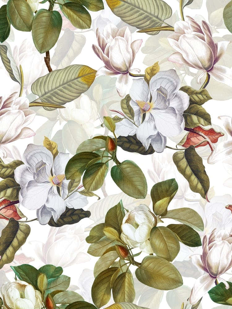 Lush White Magnolia Flowers