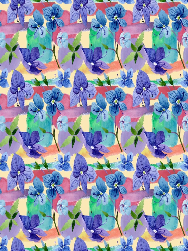 Blaue Stiefmütterchen - Veronica blaue Blume