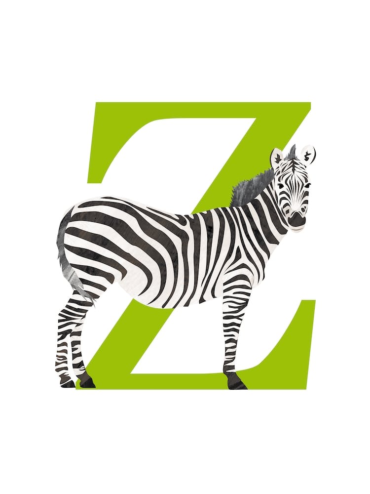 Z For Zebra